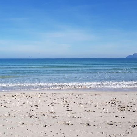 Ideal Property Mallorca - Lago Miguel Port de Alcudia  Eksteriør billede