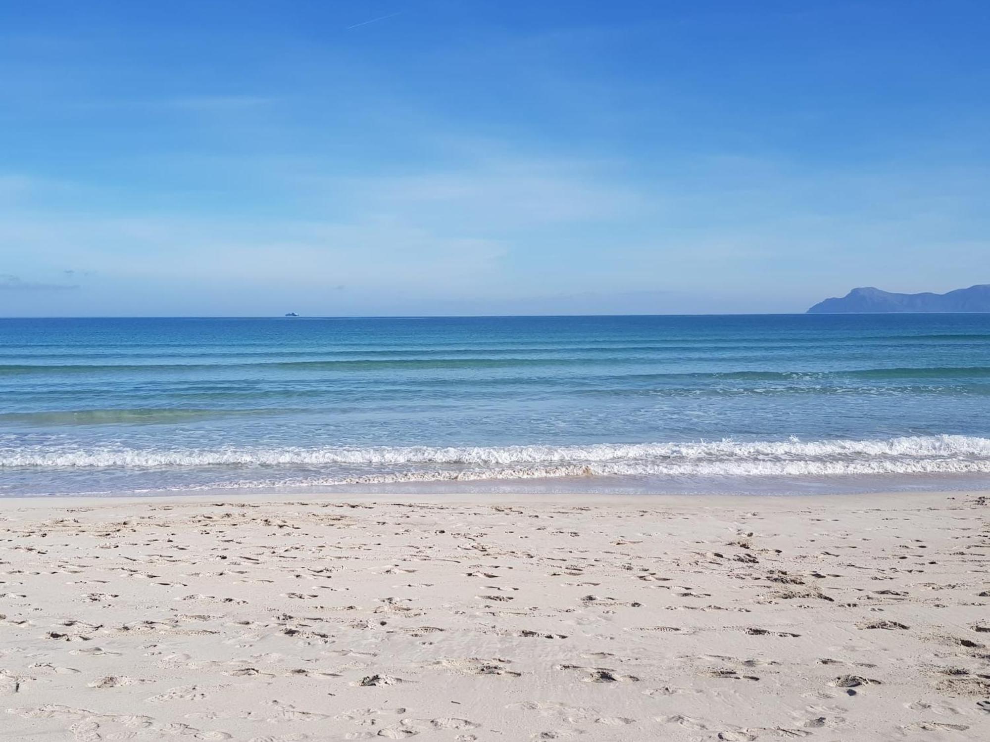 Ideal Property Mallorca - Lago Miguel Port de Alcudia  Eksteriør billede